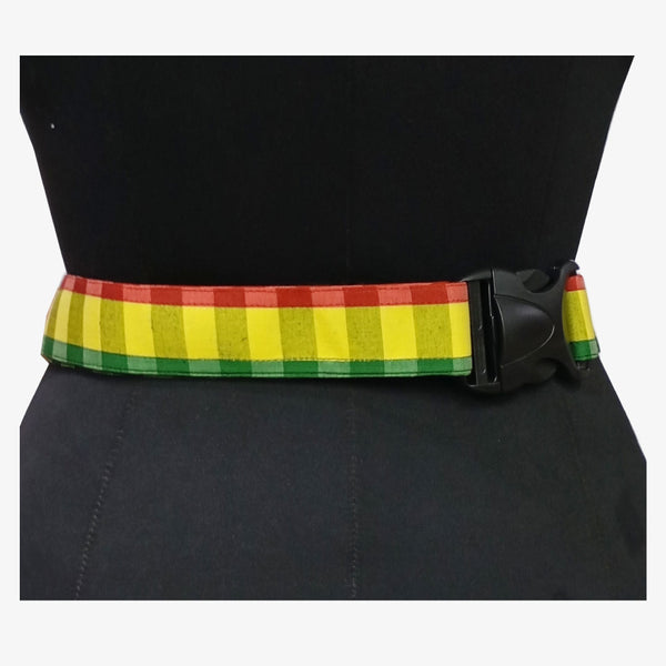 Bibi's New Bum Bag